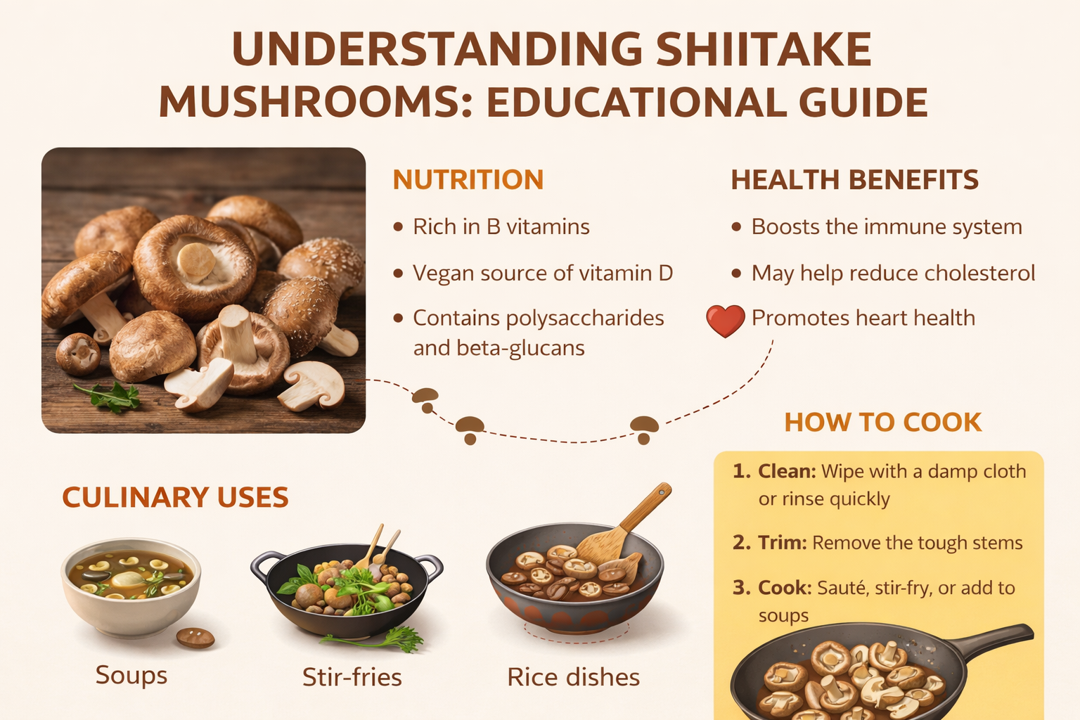 Infographic showing types and common uses of shiitake mushrooms.