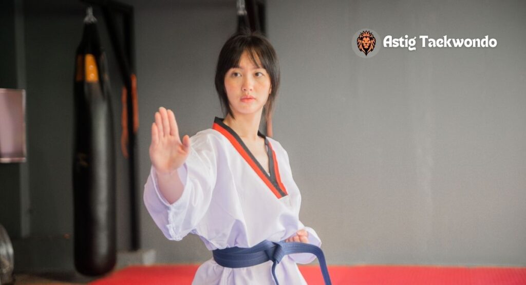 Asgtig-Taekwondo-1