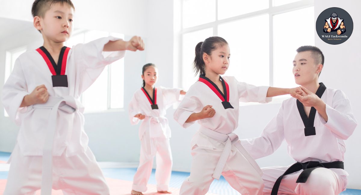 Wagi-Taekwondo