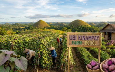 Ubi Kinampay